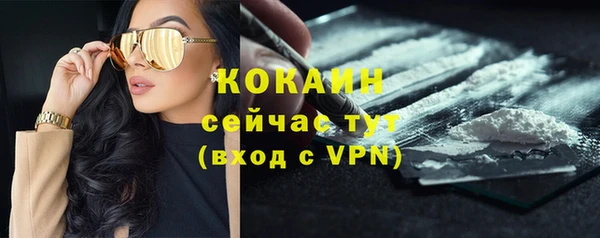 крисы Белоозёрский