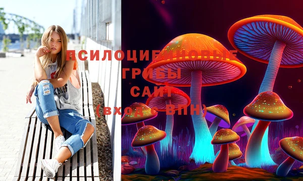 гидропоника Пересвет
