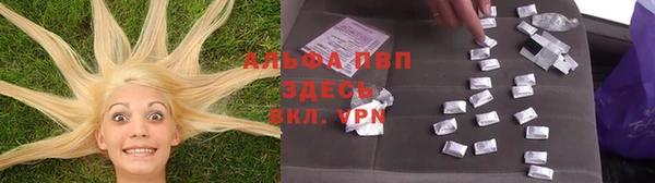 крисы Белоозёрский