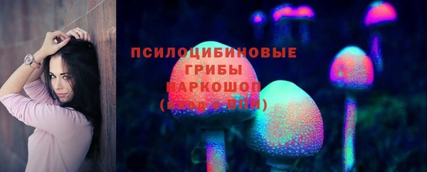 кокс Белокуриха