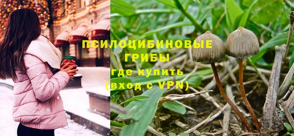 крисы Белоозёрский