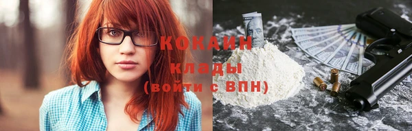кокс Белокуриха